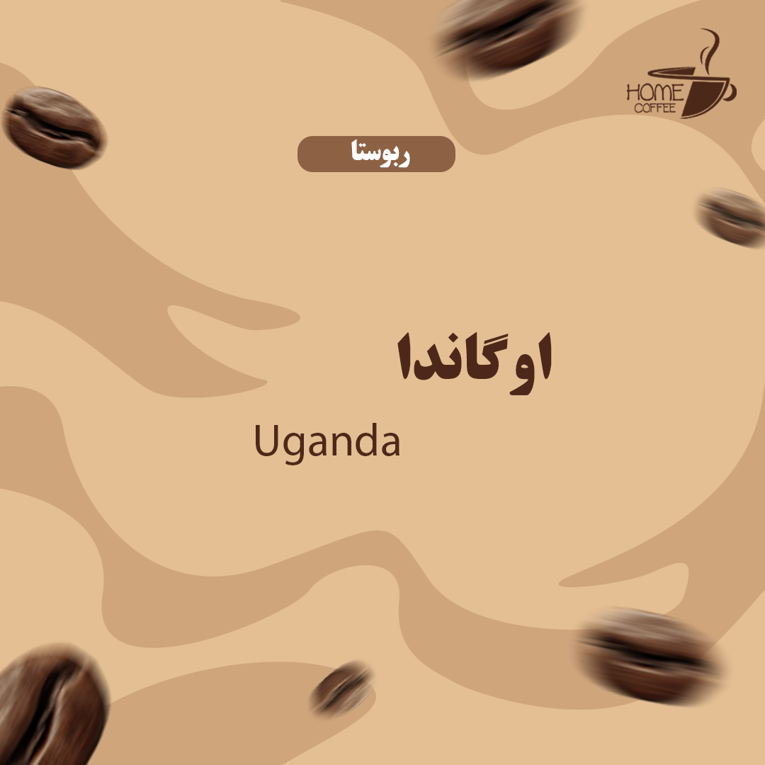 دانه قهوه ربوستا اوگاندا