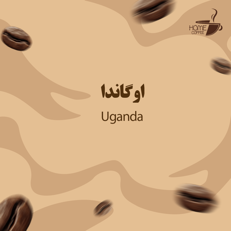 قهوه 100 ربوستا اوگاندا(عمده)